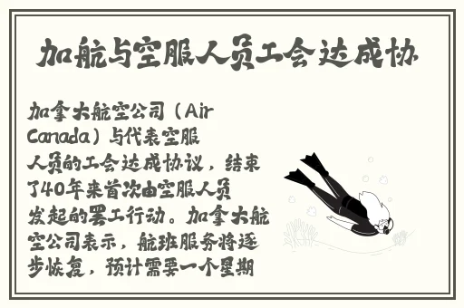 双人生猴子